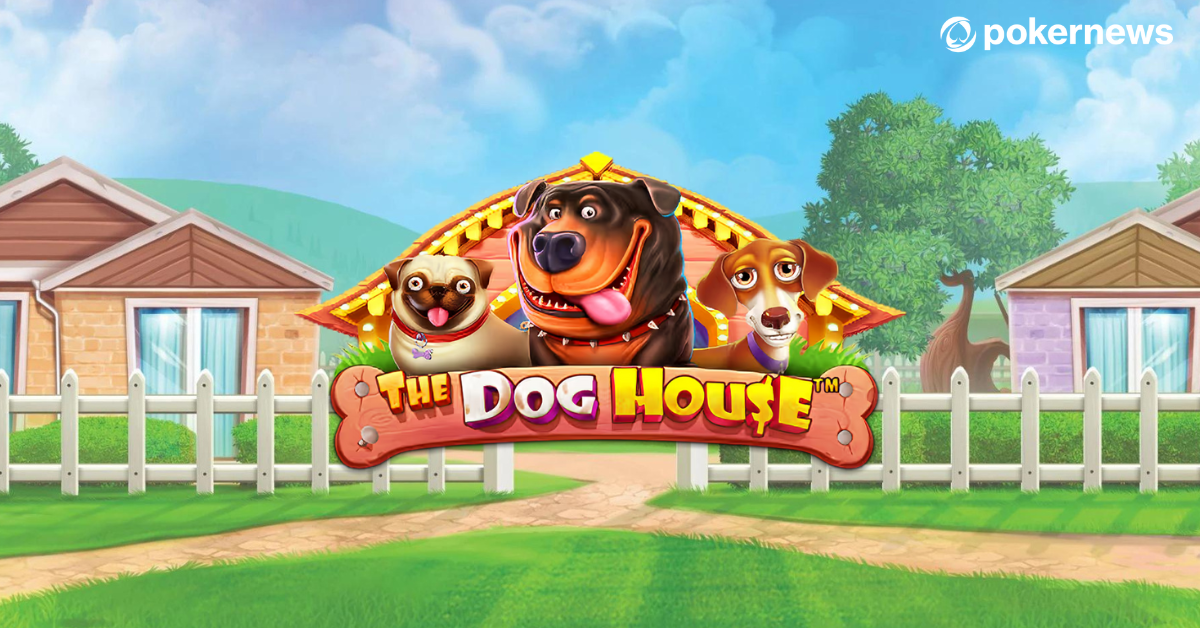Dog house